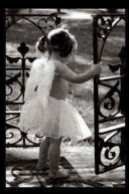 petit ange tombé du ciel